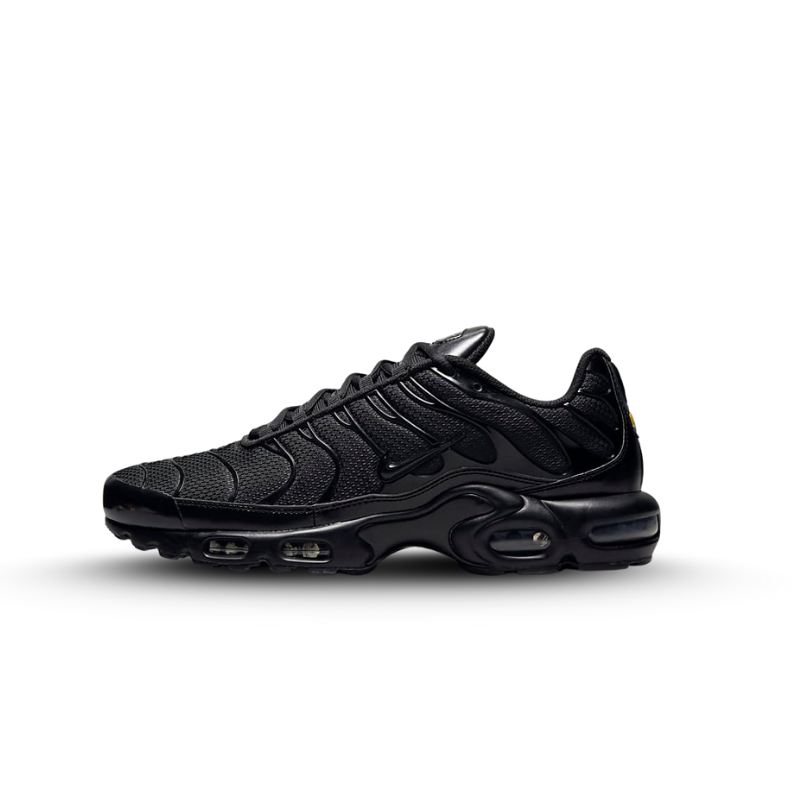 Nike Air Max Plus